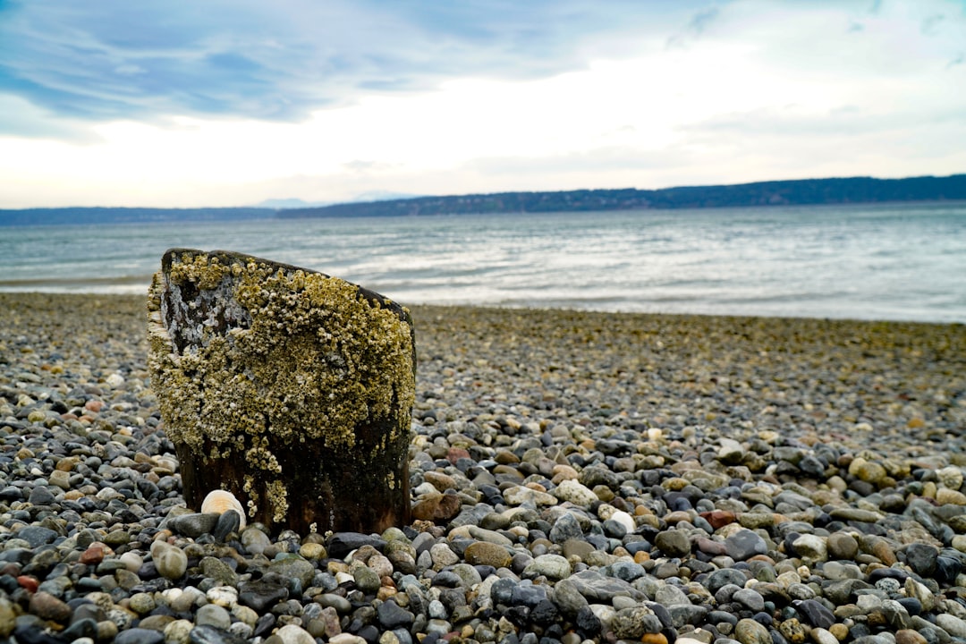 Welcome to Taylor Lee Homeowners Association!